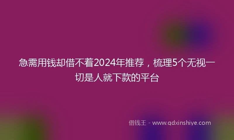 急需用钱却借不着2024年推荐，梳理5个无视一切是人就下款的平台
