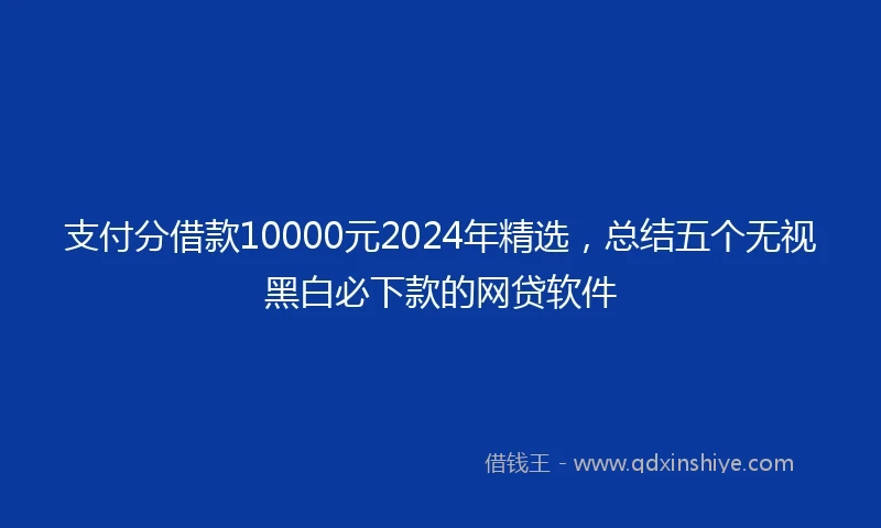 支付分借款10000元2024年精选，总结五个无视黑白必下款的网贷软件