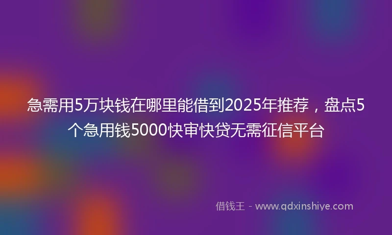 急需用5万块钱在哪里能借到2025年推荐，盘点5个急用钱5000快审快贷无需征信平台