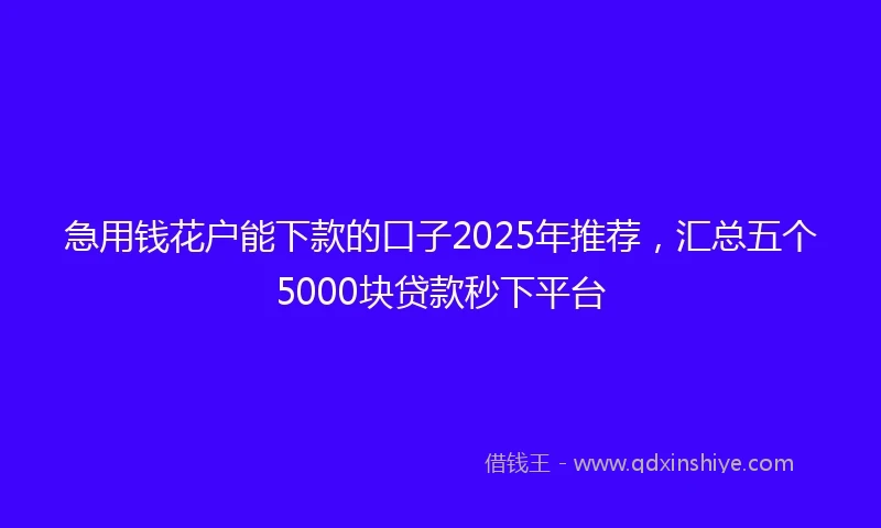 急用钱花户能下款的口子2025年推荐，汇总五个5000块贷款秒下平台