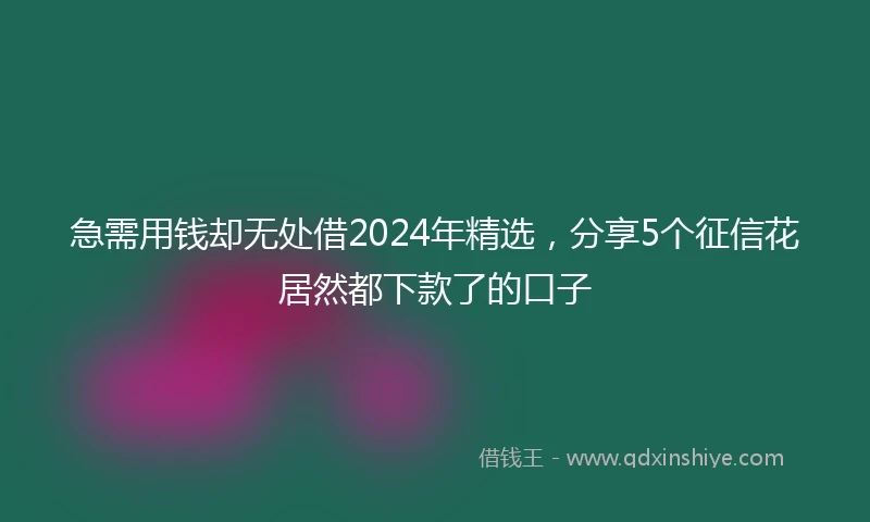 急需用钱却无处借2024年精选，分享5个征信花居然都下款了的口子