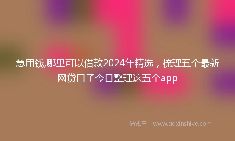 急用钱,哪里可以借款2024年精选，梳理五个最新网贷口子今日整理这五个app