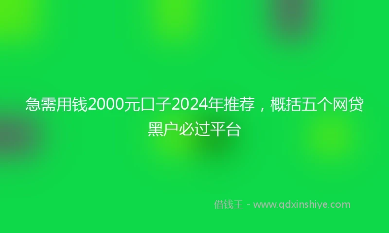 急需用钱2000元口子2024年推荐，概括五个网贷黑户必过平台