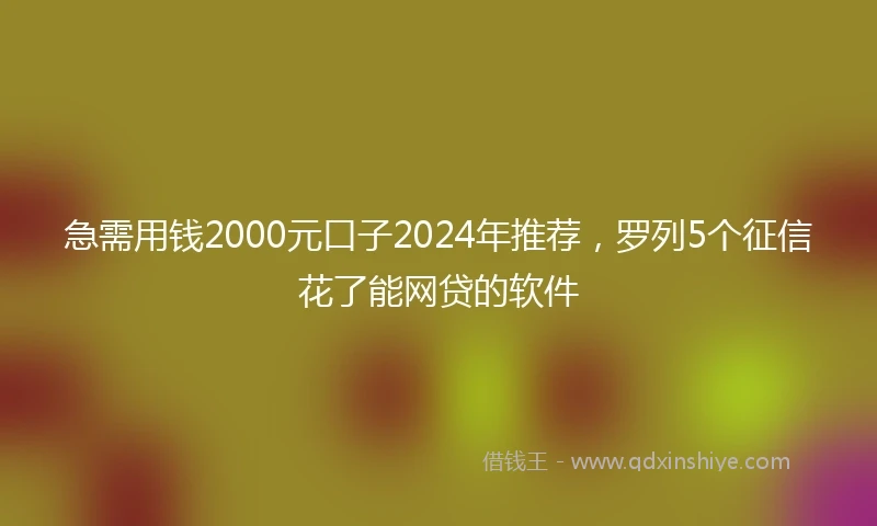 急需用钱2000元口子2024年推荐，罗列5个征信花了能网贷的软件