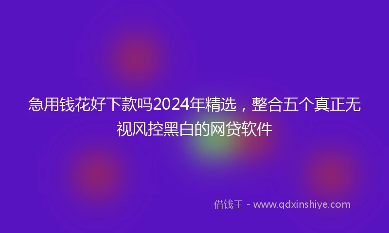 急用钱花好下款吗2024年精选，整合五个真正无视风控黑白的网贷软件
