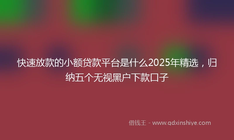 快速放款的小额贷款平台是什么2025年精选，归纳五个无视黑户下款口子