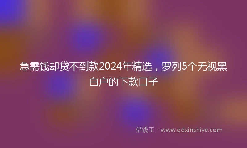 急需钱却贷不到款2024年精选，罗列5个无视黑白户的下款口子