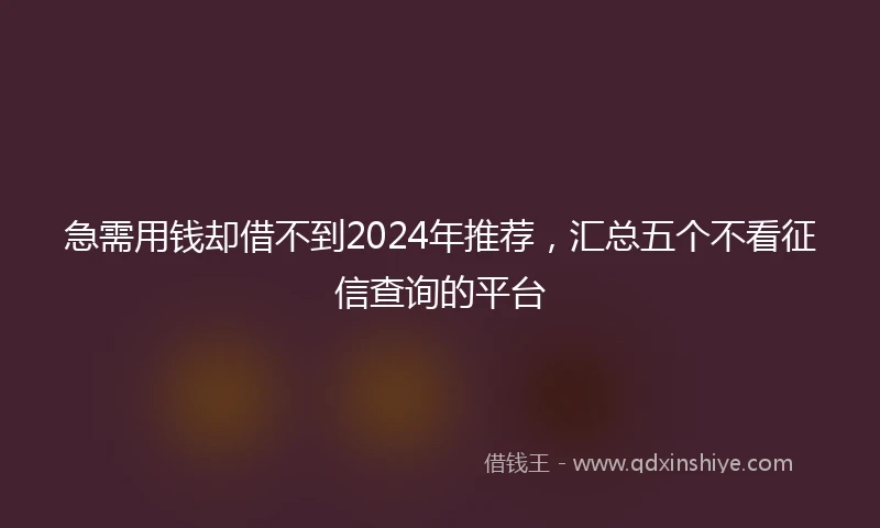 急需用钱却借不到2024年推荐，汇总五个不看征信查询的平台