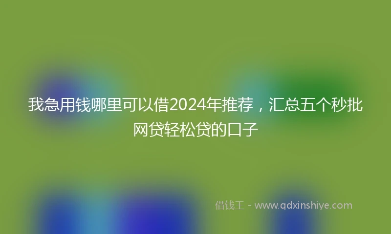 我急用钱哪里可以借2024年推荐，汇总五个秒批网贷轻松贷的口子