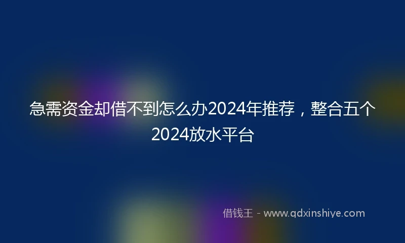急需资金却借不到怎么办2024年推荐，整合五个2024放水平台