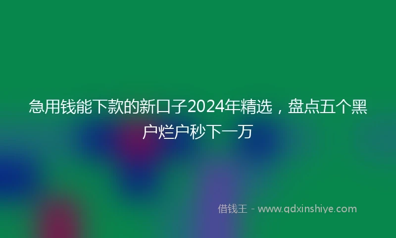 急用钱能下款的新口子2024年精选，盘点五个黑户烂户秒下一万
