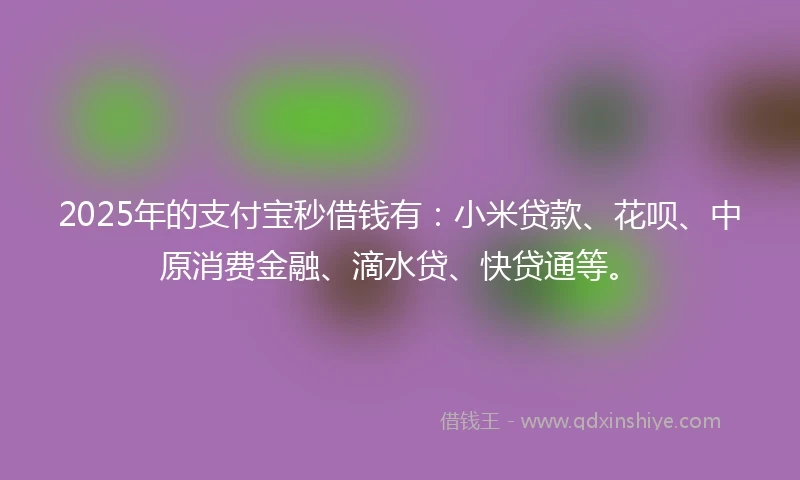 2025年的支付宝秒借钱有:小米贷款、花呗、中原消费金融、滴水贷、快贷通等。