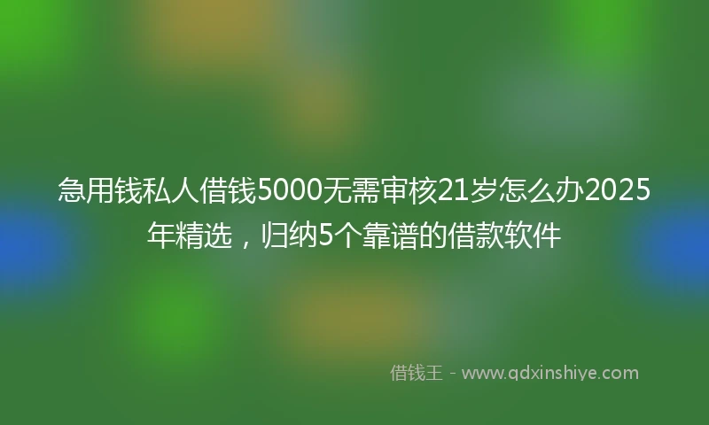 急用钱私人借钱5000无需审核21岁怎么办2025年精选，归纳5个靠谱的借款软件