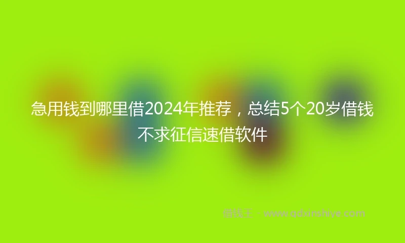 急用钱到哪里借2024年推荐，总结5个20岁借钱不求征信速借软件