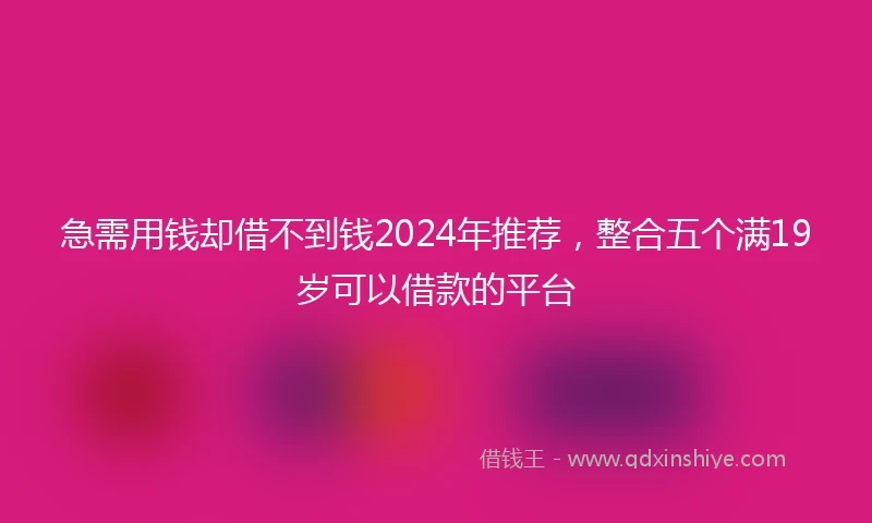 急需用钱却借不到钱2024年推荐，整合五个满19岁可以借款的平台