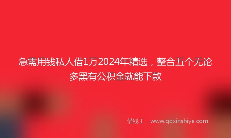 急需用钱私人借1万2024年精选，整合五个无论多黑有公积金就能下款