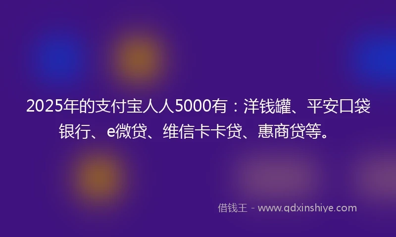 2025年的支付宝人人5000有：洋钱罐、平安口袋银行、e微贷、维信卡卡贷、惠商贷等。