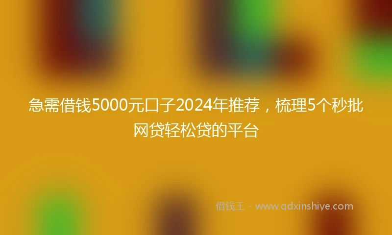 急需借钱5000元口子2024年推荐，梳理5个秒批网贷轻松贷的平台