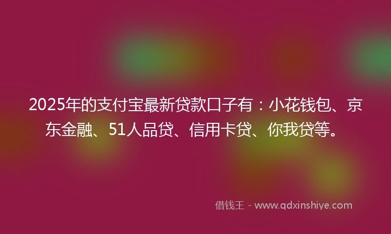 2025年的支付宝最新贷款口子有：小花钱包、京东金融、51人品贷、信用卡贷、你我贷等。