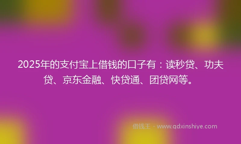 2025年的支付宝上借钱的口子有：读秒贷、功夫贷、京东金融、快贷通、团贷网等。