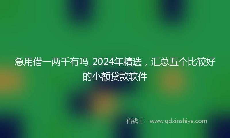 急用借一两千有吗_2024年精选，汇总五个比较好的小额贷款软件