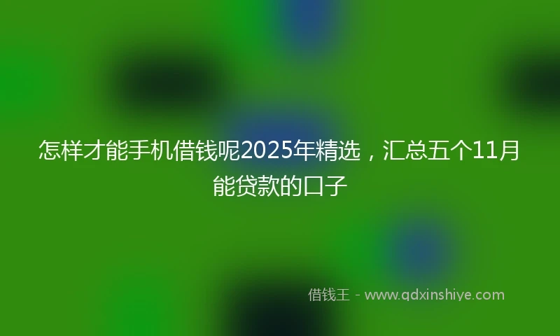 怎样才能手机借钱呢2025年精选，汇总五个11月能贷款的口子