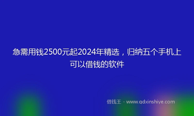 急需用钱2500元起2024年精选，归纳五个手机上可以借钱的软件