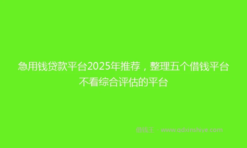 急用钱贷款平台2025年推荐，整理五个借钱平台不看综合评估的平台