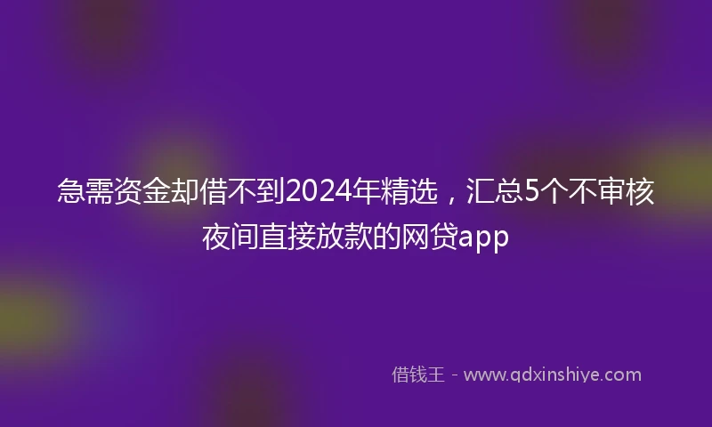 急需资金却借不到2024年精选，汇总5个不审核夜间直接放款的网贷app