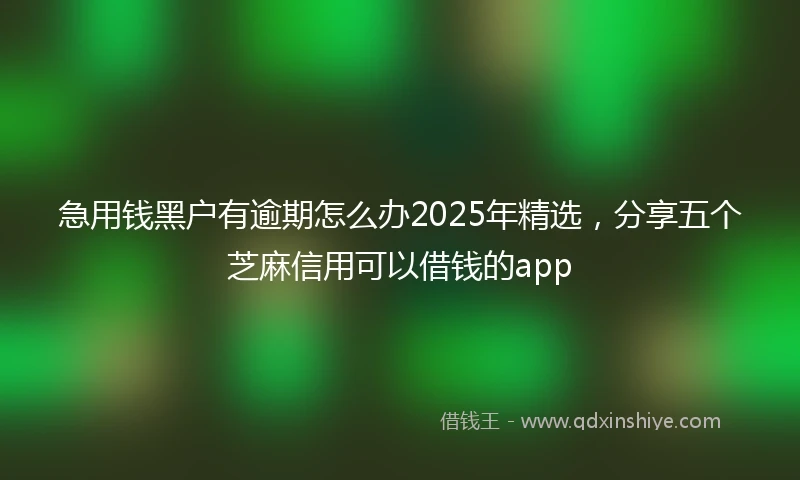 急用钱黑户有逾期怎么办2025年精选，分享五个芝麻信用可以借钱的app