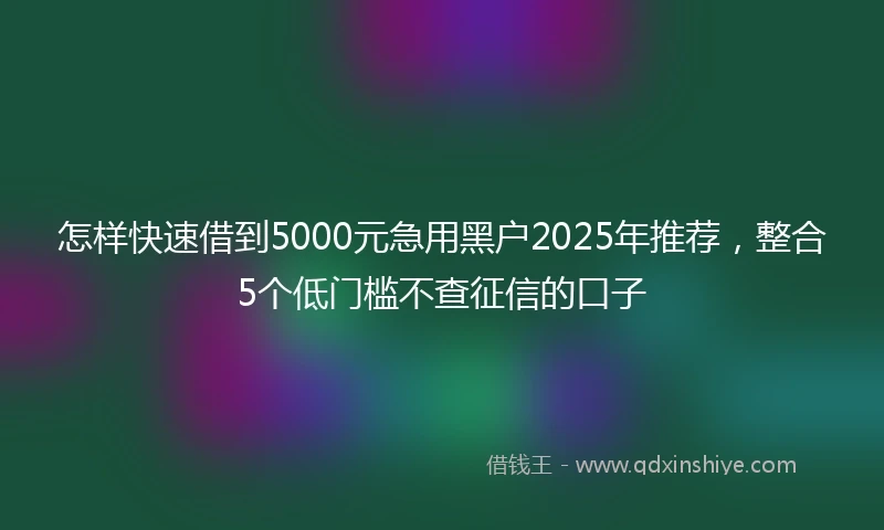 怎样快速借到5000元急用黑户2025年推荐，整合5个低门槛不查征信的口子