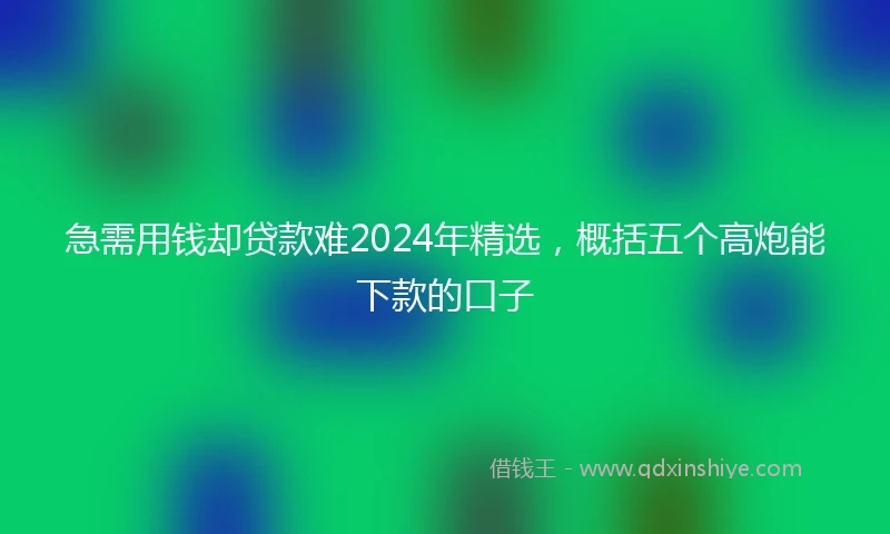 急需用钱却贷款难2024年精选，概括五个高炮能下款的口子