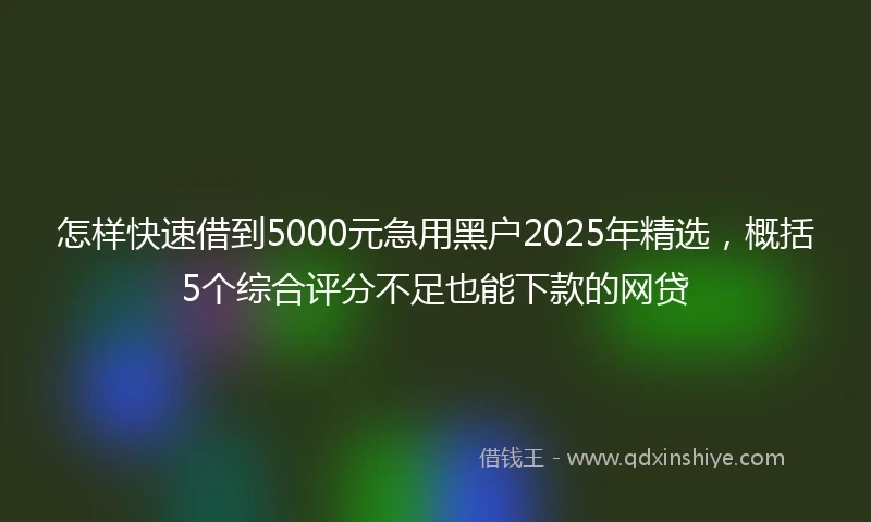 怎样快速借到5000元急用黑户2025年精选，概括5个综合评分不足也能下款的网贷