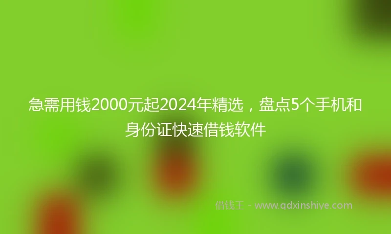 急需用钱2000元起2024年精选，盘点5个手机和身份证快速借钱软件