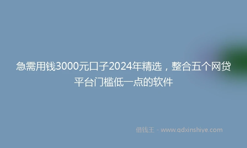 急需用钱3000元口子2024年精选，整合五个网贷平台门槛低一点的软件