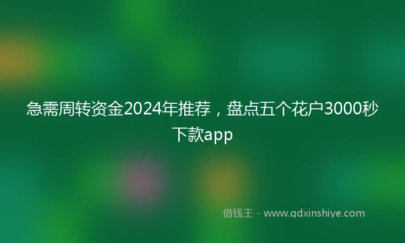 急需周转资金2024年推荐，盘点五个花户3000秒下款app