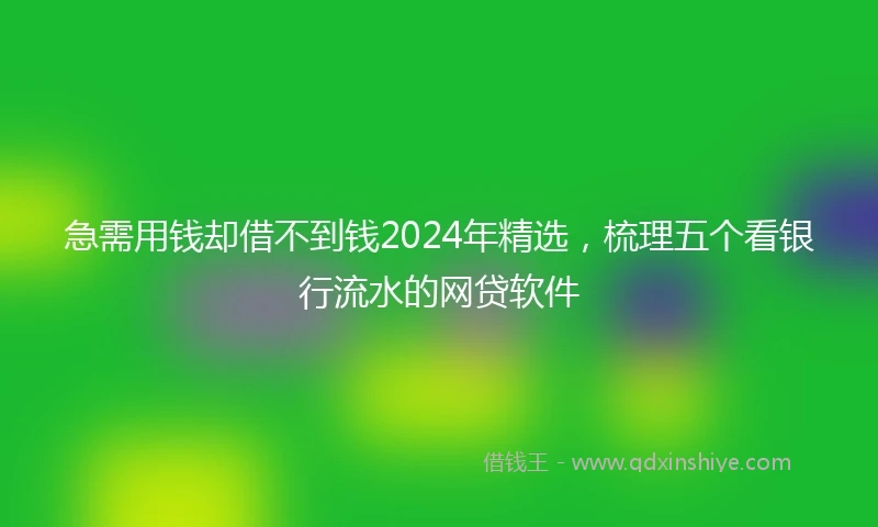 急需用钱却借不到钱2024年精选，梳理五个看银行流水的网贷软件