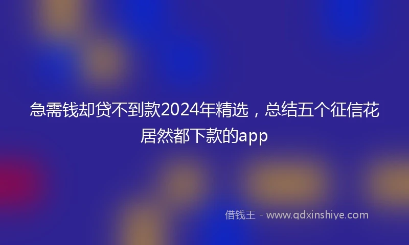 急需钱却贷不到款2024年精选，总结五个征信花居然都下款的app
