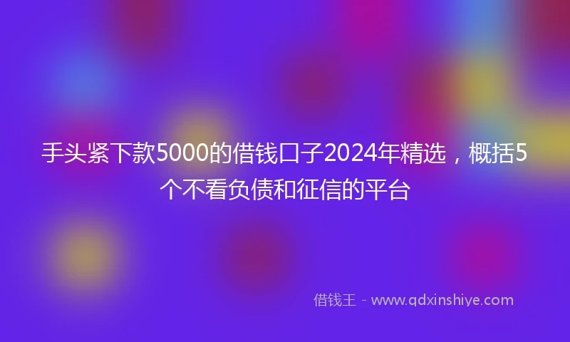 手头紧下款5000的借钱口子2024年精选，概括5个不看负债和征信的平台