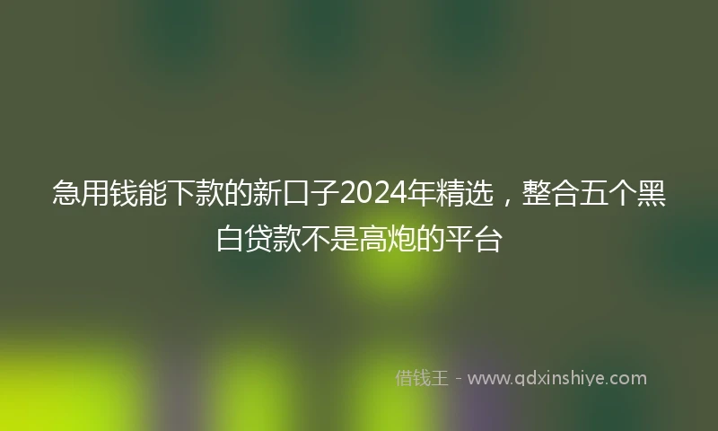急用钱能下款的新口子2024年精选，整合五个黑白贷款不是高炮的平台