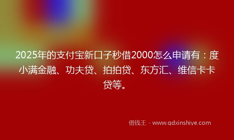 2025年的支付宝新口子秒借2000怎么申请有：度小满金融、功夫贷、拍拍贷、东方汇、维信卡卡贷等。