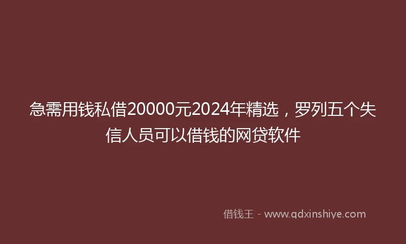 急需用钱私借20000元2024年精选，罗列五个失信人员可以借钱的网贷软件
