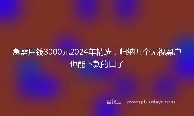 急需用钱3000元2024年精选，归纳五个无视黑户也能下款的口子