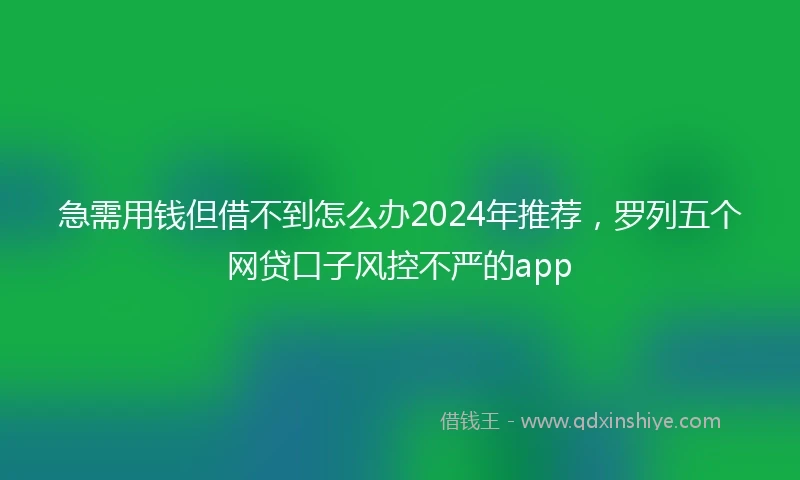 急需用钱但借不到怎么办2024年推荐，罗列五个网贷口子风控不严的app