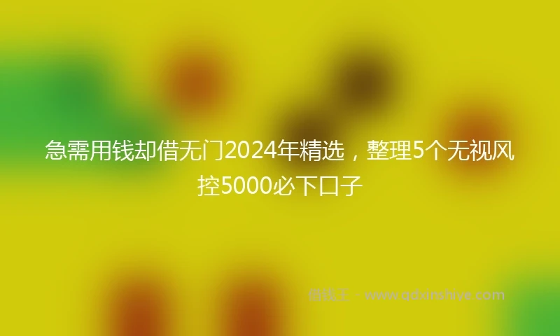 急需用钱却借无门2024年精选，整理5个无视风控5000必下口子