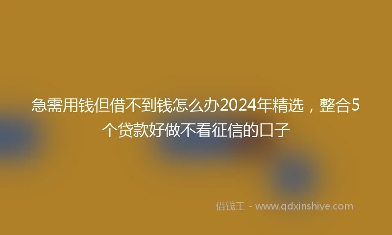急需用钱但借不到钱怎么办2024年精选，整合5个贷款好做不看征信的口子