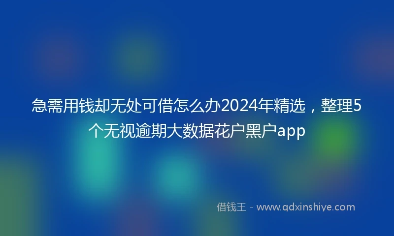 急需用钱却无处可借怎么办2024年精选，整理5个无视逾期大数据花户黑户app