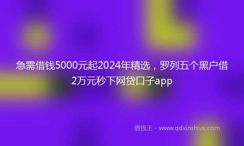 急需借钱5000元起2024年精选，罗列五个黑户借2万元秒下网贷口子app