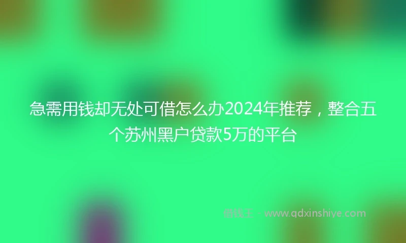 急需用钱却无处可借怎么办2024年推荐，整合五个苏州黑户贷款5万的平台