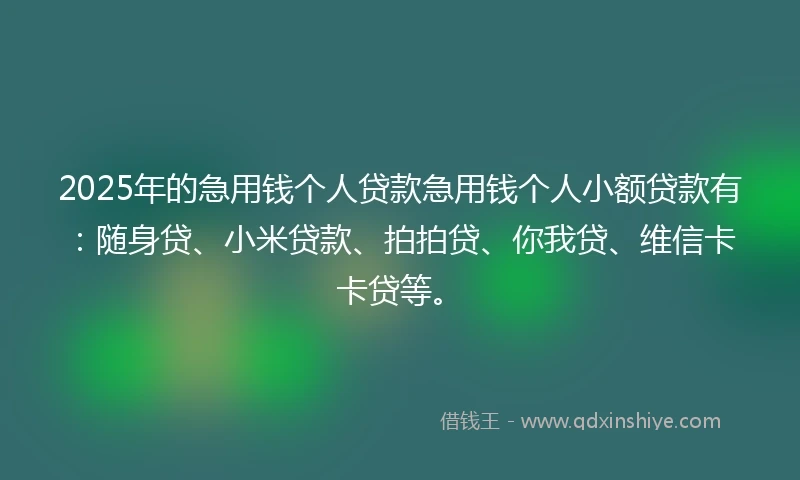 2025年的急用钱个人贷款急用钱个人小额贷款有：随身贷、小米贷款、拍拍贷、你我贷、维信卡卡贷等。